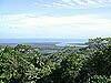 Daintree River mouth