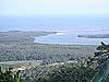 Daintree River mouth