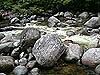 swimming spot on Mossman River