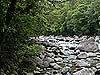 view from swimming spot up the Mossman River