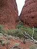 Kata Tjuta