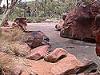 Palm Valley dry riverbed