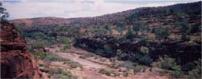 dry riverbed, Palm Valley