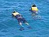 snorklers, Outer Reef, Great Barrier Reef