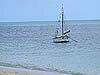 sailboat off Green Island