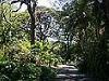 Garden path, Royal Botanical Gardens