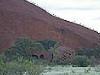 People climbing Uluru - the "ants"