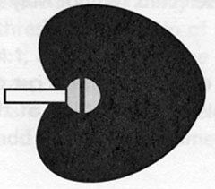 cardioid mic pattern