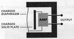 condenser mic cutaway diagram