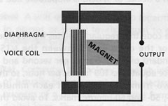 dynamic mic cutaway