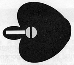 hypercardioid mic pattern